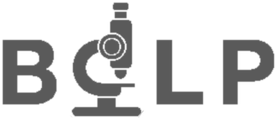 BCLP Logo.